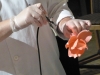 p1110813