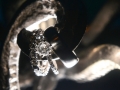 773_PH558560517-0773