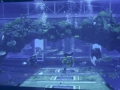 743_PH537711116-0743